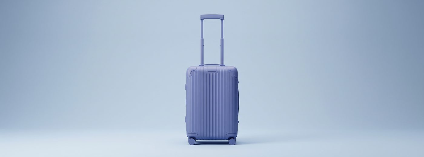 Reisekoffer in den VFR-Farben
